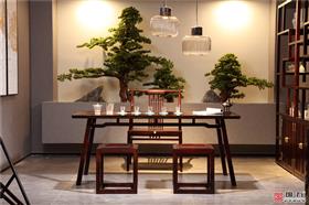 朗月茶台